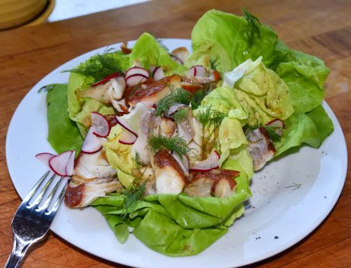 Hot-smoked Black Cod Salad, butter lettuce, pickled radishes, and dill